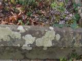 image of grave number 614284